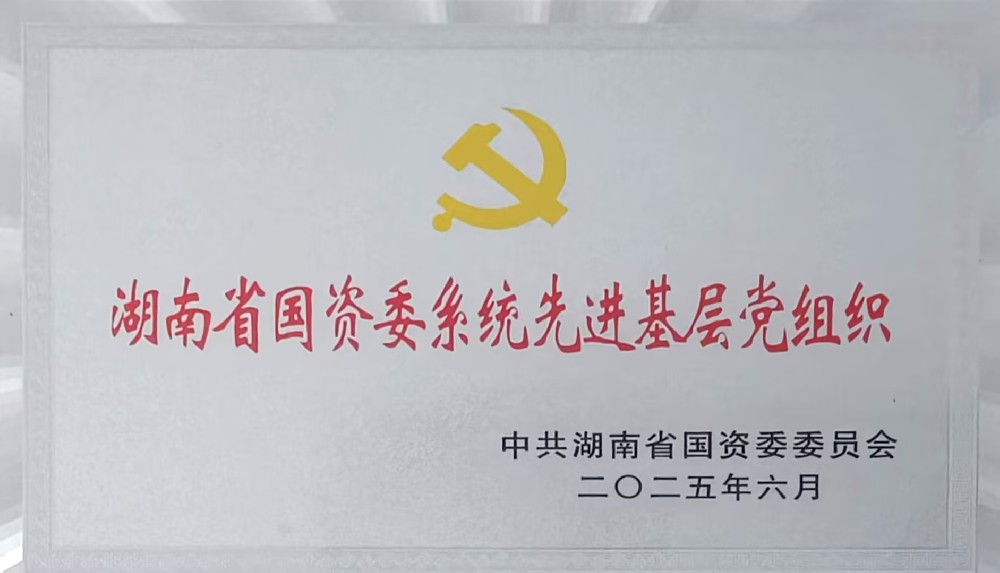 湖南省国资委系统先进基层党组织